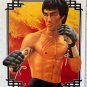 BRUCE LEE STORY (1993) - RARE FRENCH MOVIE/VIDEO POSTER - 23x33
