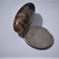 Old Tibetan Used Weathered Oily Agate 2-Eye 2-Money Hook Dzi Bead 4.4 CM