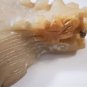 Antique Chinese Song to Ming Jade Dragon Turtle Teapot