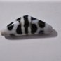 Old Tibetan Used Weathered Oily Agate Reverse Turtleback Horned Dzi Bead 6.5 CM