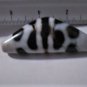 Old Tibetan Used Weathered Oily Agate Reverse Turtleback Horned Dzi Bead 6.5 CM