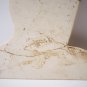 Ancient Chinese Neolithic Liangzhu White Chicken Bone Jade *Ghost* Amulet