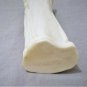 Antique Chinese Hand Carved Immortal Pine Tree Brush Pot
