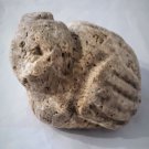 Paleo Indian Stone Effigy Keys Everglades Petrified Palm Wood? Reef Coral?