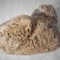 Paleo Indian Stone Effigy Keys Everglades Petrified Palm Wood? Reef Coral?