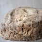 Paleo Indian Stone Effigy Keys Everglades Petrified Palm Wood? Reef Coral?