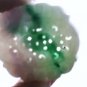 Vintage Burma Jadeite Double Coins Pierced Emerald & Lavender Toggle Bead 4.7cm