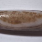 Old Tibetan Natural Heaven-Eyed Used Weathered Oily Banded Agate Dzi Bead 5 CM