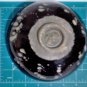 Antique Chinese Song Cizhou Papercut Butterflies Tortoiseshell Bowl Lot 6-1/2"