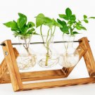 Propagation Station Desktop Plant Terrarium Glass Planter Bulb Wood Stand Decor