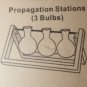 Propagation Station Desktop Plant Terrarium Glass Planter Bulb Wood Stand Decor