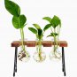 Propagation Station Desk Ornament Plant Terrarium Glass Planter Wood Stand Decor