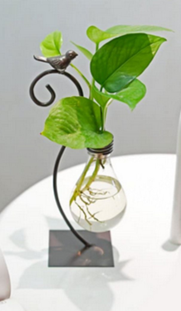 Wrought Iron Stand W Indoor Outdoor Glass Bulb Plant Display Home Decor