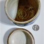 Antique Chinese Ming Blue White Floral Lidded Tea Caddy Jar Lot 5-1/2"