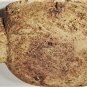 Ancient Woodland Native Clay-Mudstone Ceremonial Turtle Effigy Pipe