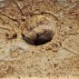 Ancient Woodland Native Clay-Mudstone Ceremonial Turtle Effigy Pipe
