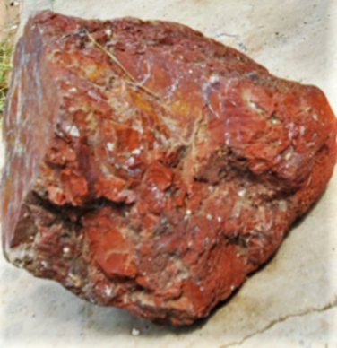 Red Desert Jasper Huge Partial Rough Specimen 1 Cut side