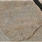Ancient SW Anasazi Pueblo Native American Artifact Grinding Mortar 18 LB
