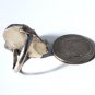 Vtg Sterling Silver Old Pawn SOUTHWESTERN Navajo Green Turquoise Ring Lot Sz 9