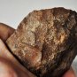 Ancient Paleo to Archaic Celt or Handheld Stone Blade Tool Lot