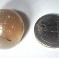 Ancient Chalcedony Agate King or Noble Stamp Seal w Pahlavi Script Caption