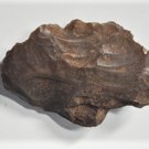 Ancient Paleo to Archaic Handheld Stone Blade Tool Lot