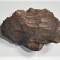 Ancient Paleo to Archaic Handheld Stone Blade Tool Lot
