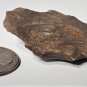 Ancient Paleo to Archaic Handheld Stone Blade Tool Lot