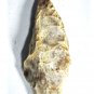 Ancient Archaic Basal Notched Chert Stone Arrowhead Lot