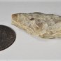 Ancient Archaic Basal Notched Chert Stone Arrowhead Lot