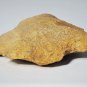Ancient AL Paleo- Archaic Side Notch  Arrowhead Lot Siliciclastic Stone