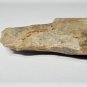 Ancient AL Archaic Basal Notch Siliciclastic Arrowhead Lot