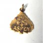 Vtg Gold Plated Sterling Silver ASPEN Souvenir Necklace Pendant or Charm