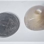 Ancient Chalcedony King or Noble Portrait Stamp Seal w Parthian Script Caption
