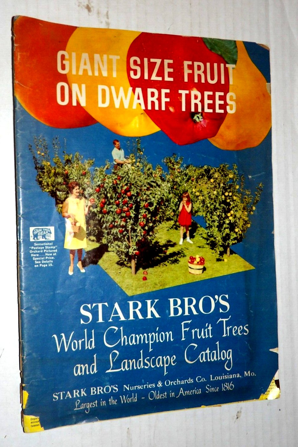 Stark Brothers World Champion Giant Fruit Dwarf Trees Landscape Catalog