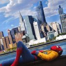 Spider-man Homecoming Imax 3D Double Sided Original Movie Poster  Original 27"x40"
