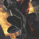 Spider-Man 3 Adv C (BATTLE) Embossed Movie Poster Original Single Sided 27"x40"