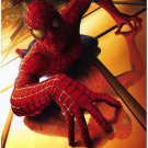 Spider-Man Regular  Movie Poster Original Single Sided  27"x40"