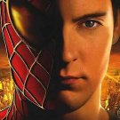 Spider-Man 2 Regular Tobey Movie Poster Original Double Sided  27"x40"