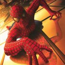 Spider-Man Advance B Movie Poster Original Double Sided  27"x40"