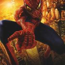 Spider-Man 2 Destiny Intl  Movie Poster Original Double Sided  27"x40"