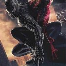 Spider-Man 3 Spanish Embossed M Movie Poster Original Double Sided  27"x40"