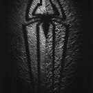 Amazing Spider-man 4 Advance July 2012 Movie Poster Original Double Sided  27"x40"