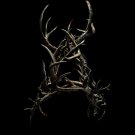 Antlers Advance Original Double Sided Movie Poster  27"x40"