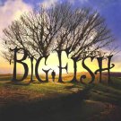Big Fish Advance Single Sided Original Movie Poster 27×40