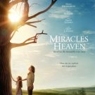 Miracles From Heaven Advance Double Sided Original Movie poster 27×40