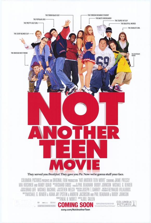 Not Another Teen Single Sided Original Movie Poster 27&Atilde;�40