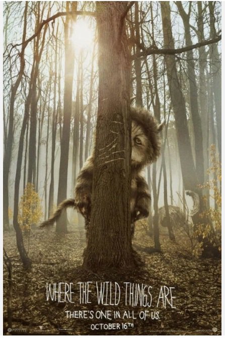 Where The Wild Things Advance Double Sided Original Movie Poster 27&Atilde;�40 inches