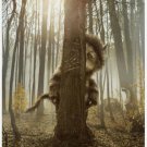 Where The Wild Things Advance Double Sided Original Movie Poster 27×40 inches