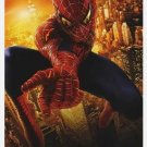SPIDER-MAN 2 DESTINY INTL DOUBLE SIDED Original Movie Poster 26.75×39. 75 inches